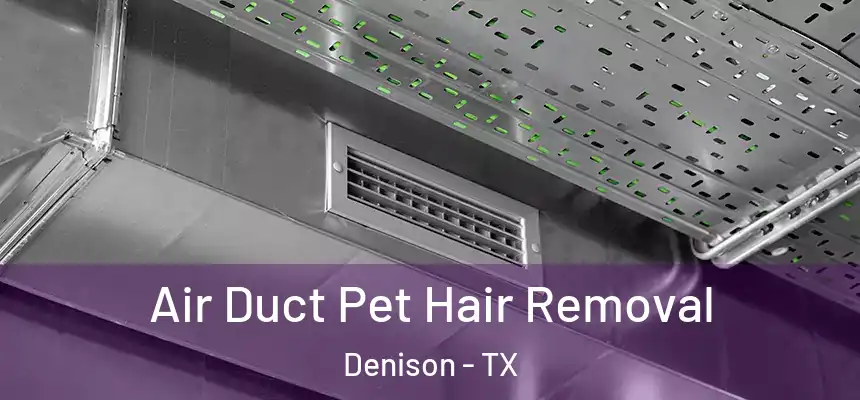  Air Duct Pet Hair Removal Denison - TX