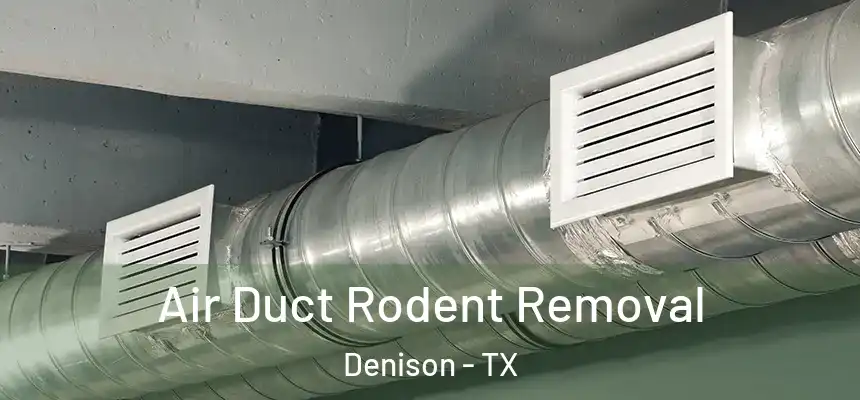  Air Duct Rodent Removal Denison - TX