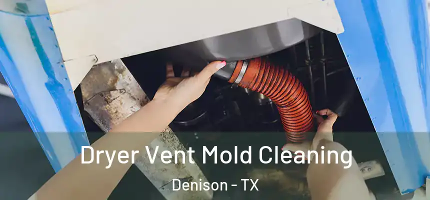  Dryer Vent Mold Cleaning Denison - TX