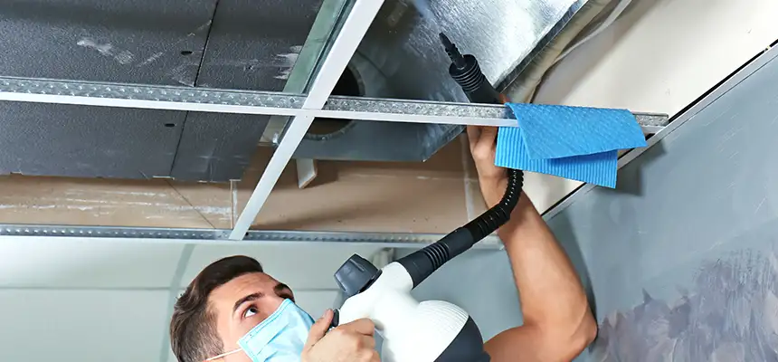 Our Air Duct Rodent Removal Services in Denison, TX