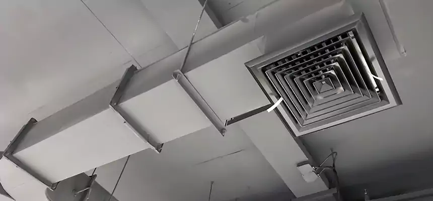 Restorative Allergy Relief Vent Cleaning – Coil, Blower & Housing Detail in Denison