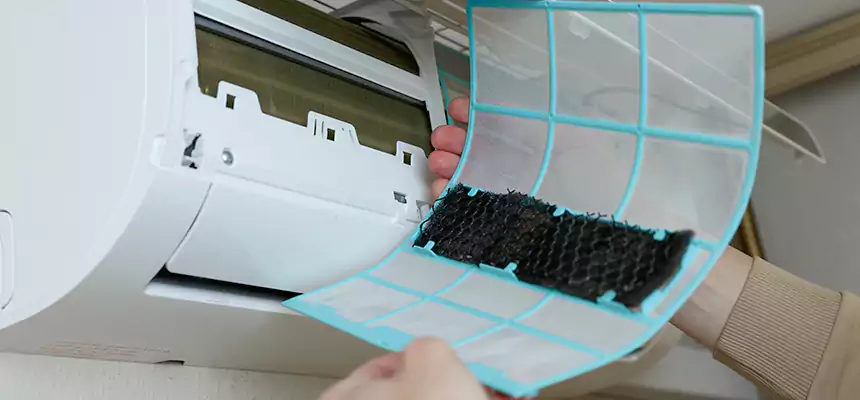 Gentle Ductwork Odor-Control Pet Dander Duct Cleaning in Denison, TX