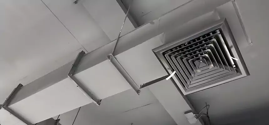 Our Rodent Droppings In Vents Services in Denison, TX