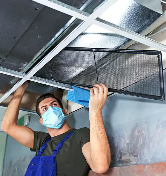 About Air Duct Bacteria Removal in Denison