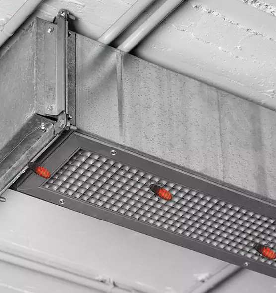 Affordable Insect Removal from Air Ducts in Denison, TX