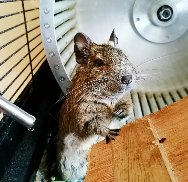 Why Homeowners & Businesses Trust Us Denison, TX