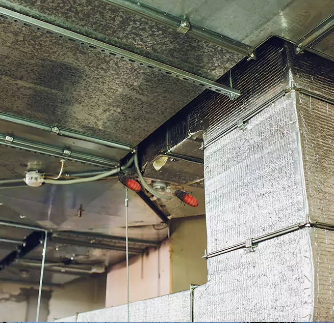 Why Homeowners & Businesses Trust Us Denison, TX?